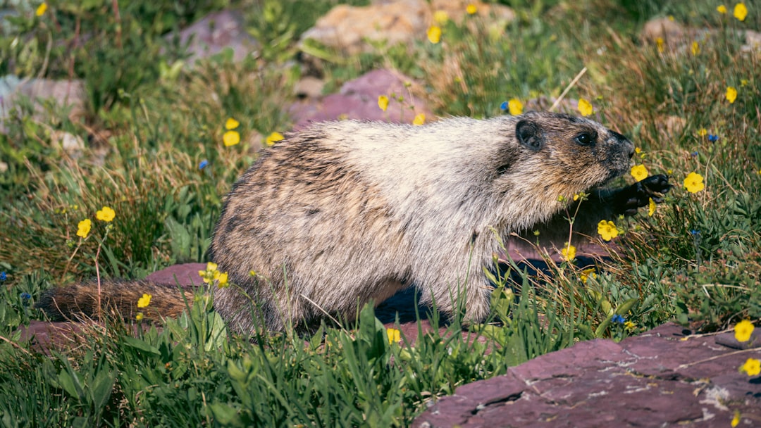 Nachhaltige Wanderwege
